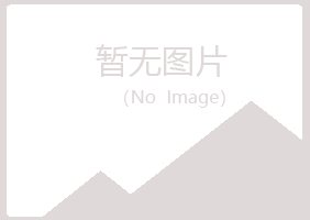 偃师醉蓝音乐有限公司